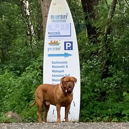 Moderne In Spaden / Wasserski / Badesee Schiffdorf